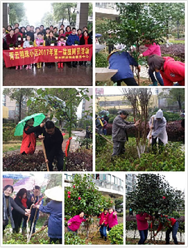 播一片綠林，種一份愛心